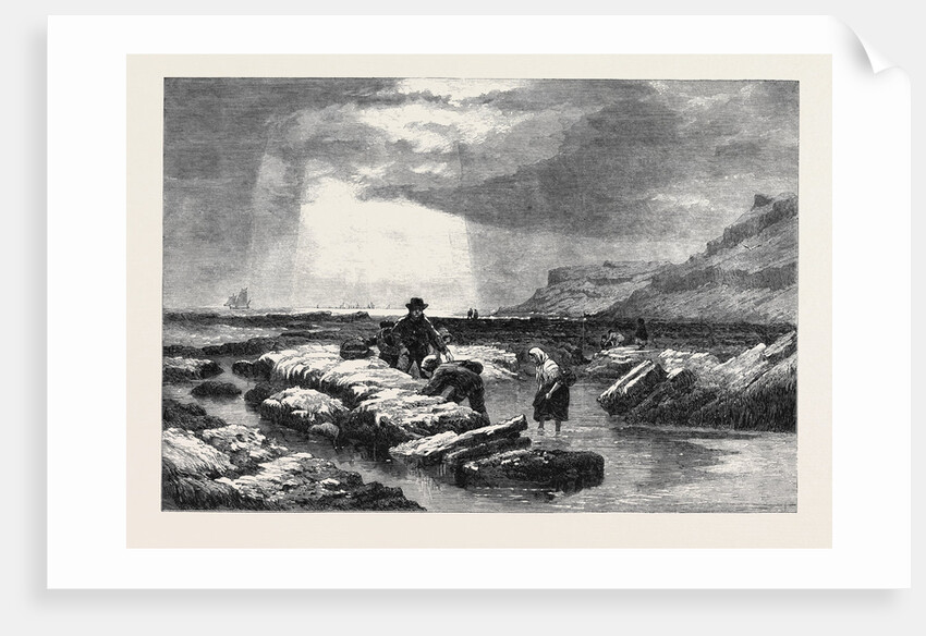 Crab Catchers, from the Exhibition of the Water Colour Society by Anonymous