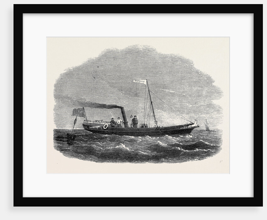 The Screw Clipper Yacht Gazelle by Anonymous
