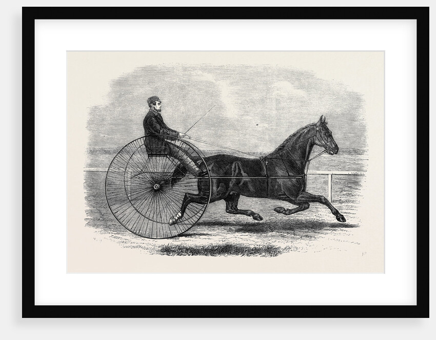 Jackey the Winner of the Late Aintree Trotting Stakes at Liverpool by Anonymous