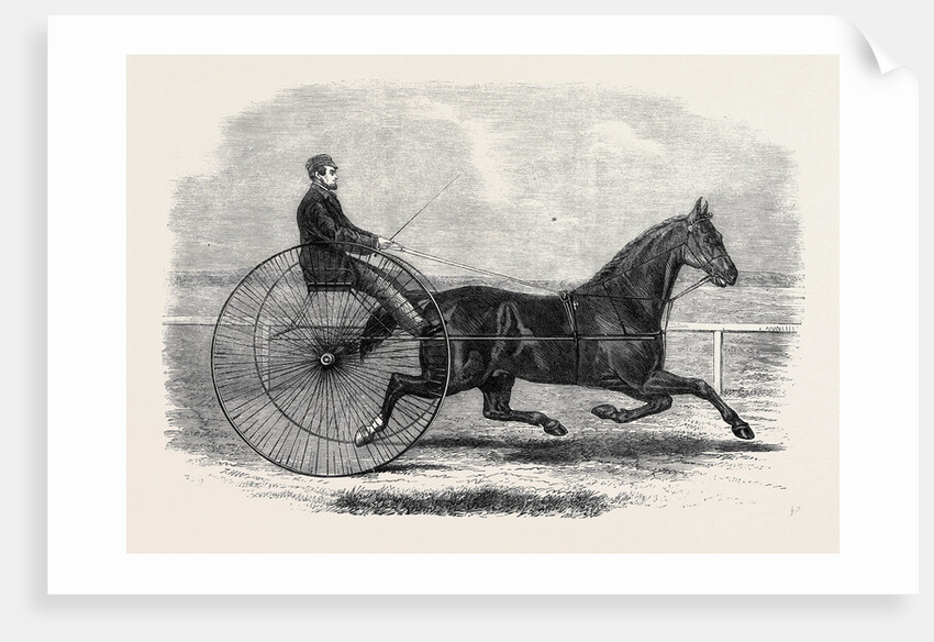 Jackey the Winner of the Late Aintree Trotting Stakes at Liverpool by Anonymous