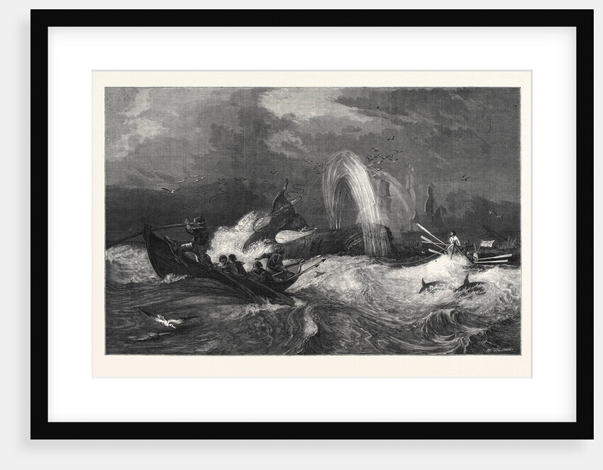 South Sea Whaling, in the General Exhibition of Water Colour Drawings Dudley Gallery 1868 by Anonymous