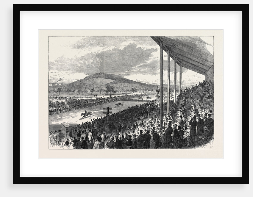The Royal Artillery Steeplechase at Woolwich 1868 by Anonymous