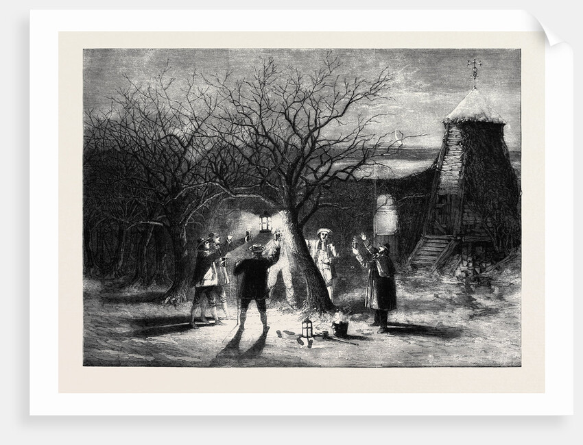 Wassailing Apple-Trees with Hot Cider in Devonshire on Twelfth Eve by Anonymous