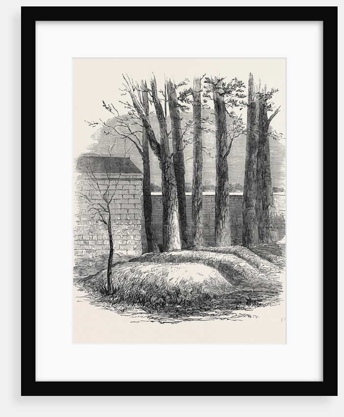 Close of the War with China: Graves of Lieut. Anderson Private Phipps and Messrs. De Norman and Bowlby in the Russian Cemetery Pekin by Anonymous