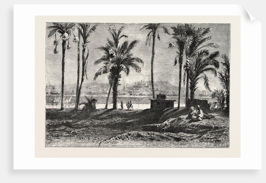 Near Gizeh by Anonymous