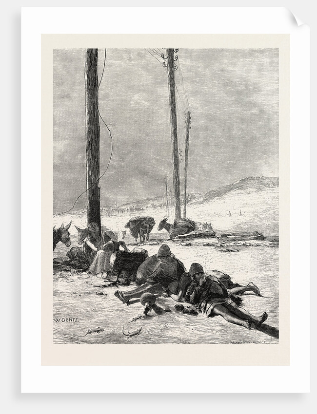 Telegraph Wires in the Desert by Anonymous