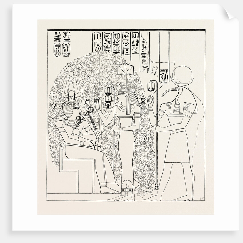 The Persea by Anonymous