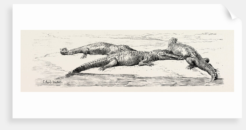 On The Thebes by Anonymous