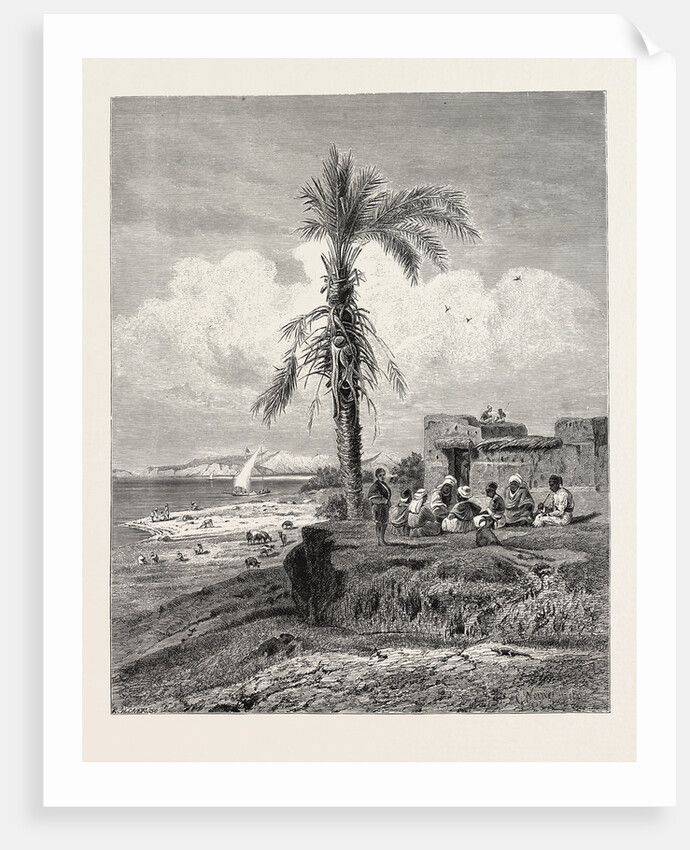 Bank of the Nile in the Neighbourhood of Abydos by Anonymous