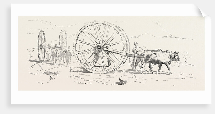 Transport of Stone by Anonymous