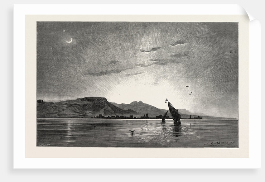 The Red Sea by Anonymous