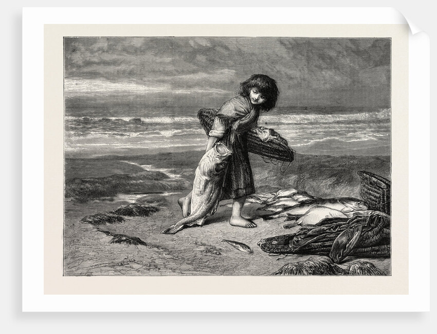 The Prize, from the Drawing by J.D. Watson by Anonymous