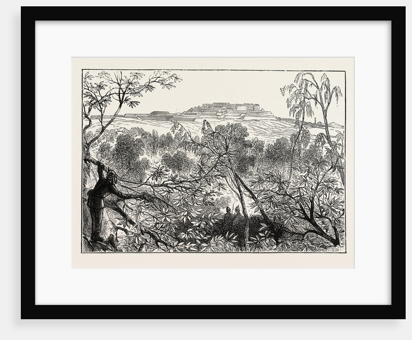 A Peep at Mont Valerien: The Woods of Celle St. Cloud, France, 1870 by Anonymous