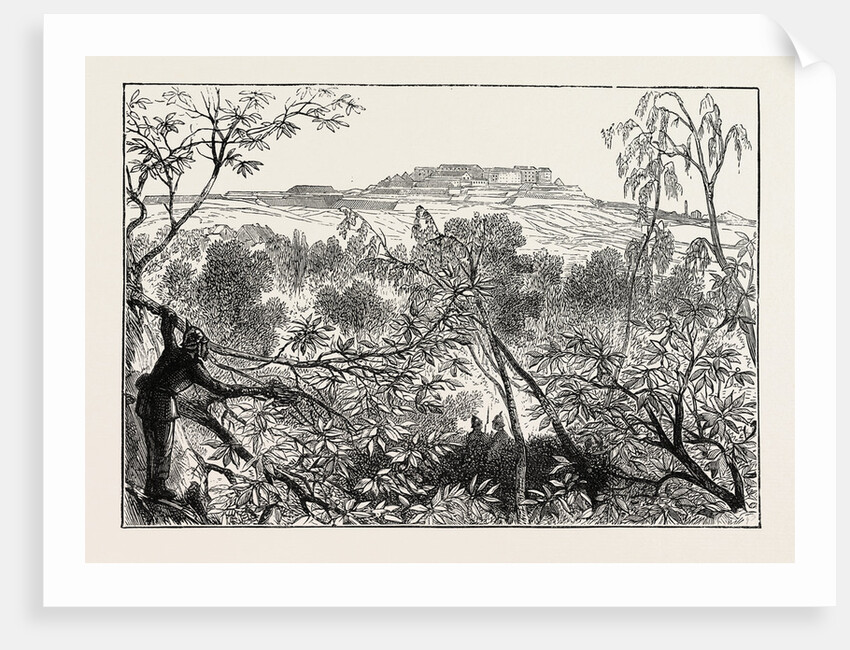 A Peep at Mont Valerien: The Woods of Celle St. Cloud, France, 1870 by Anonymous