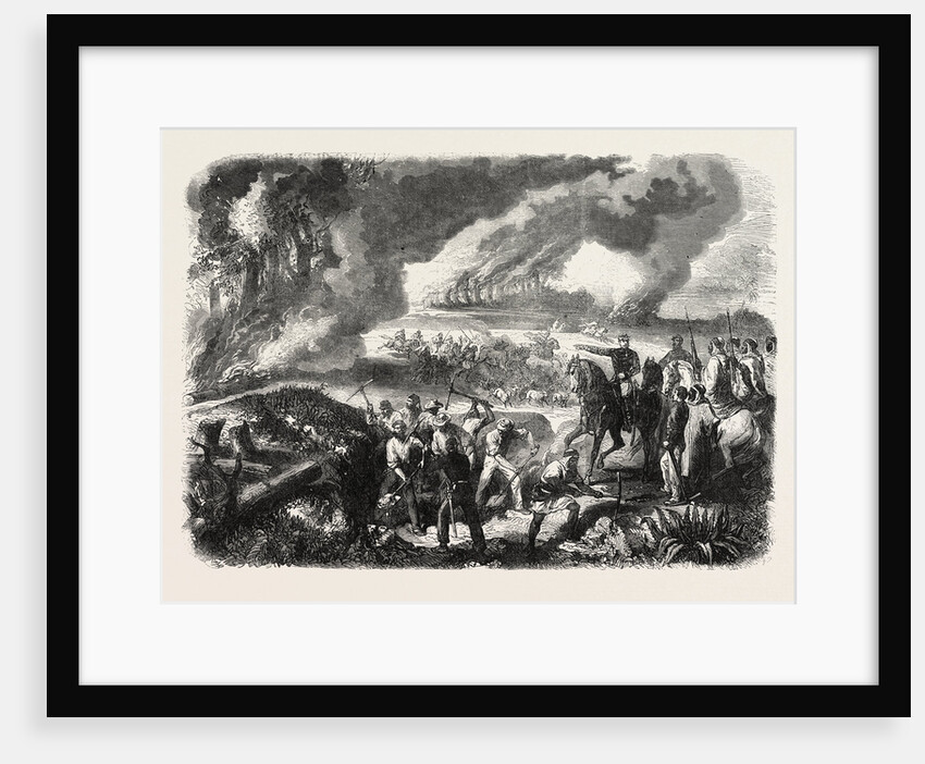 Burning of Cork-Tree Forests, in the District of Jemappes, Philipville, Algeria, 1865 by Anonymous