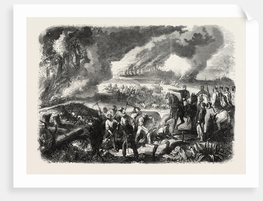 Burning of Cork-Tree Forests, in the District of Jemappes, Philipville, Algeria, 1865 by Anonymous