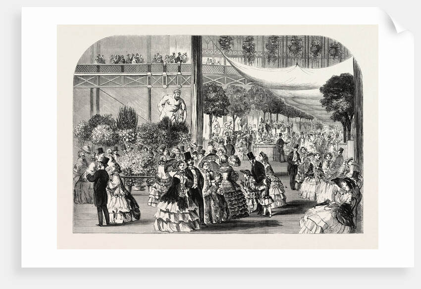 Flower Show at the Crystal Palace, London, 1857 by Anonymous