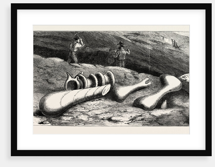 Remains of Gigantic Antediluvian Animals Recently Discovered in the Rocky Mountains, Colorado by Anonymous
