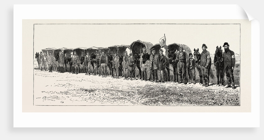 Dr. Stoker's Field Ambulance Corps (Stafford House Society), British in Turkey by Anonymous
