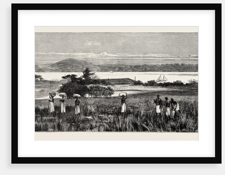 An English Trading Settlement at Emboma, Congo River, Coast of Africa by Anonymous