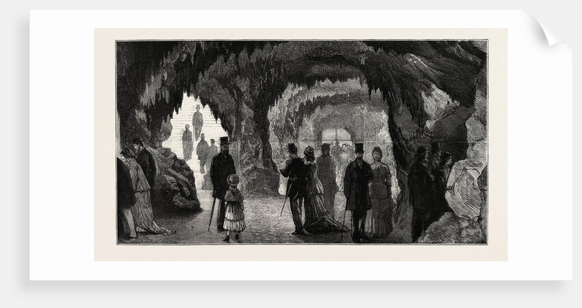 In the Aquarium on the Trocadero, the Paris Exhibition, France by Anonymous