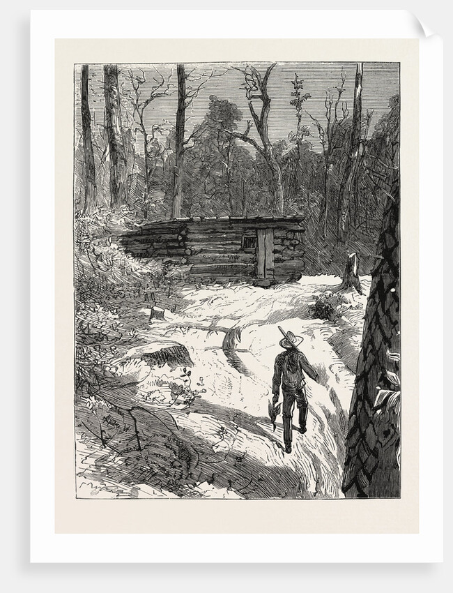 My First Residence, Gold in Canada, Emigrant Life by Anonymous