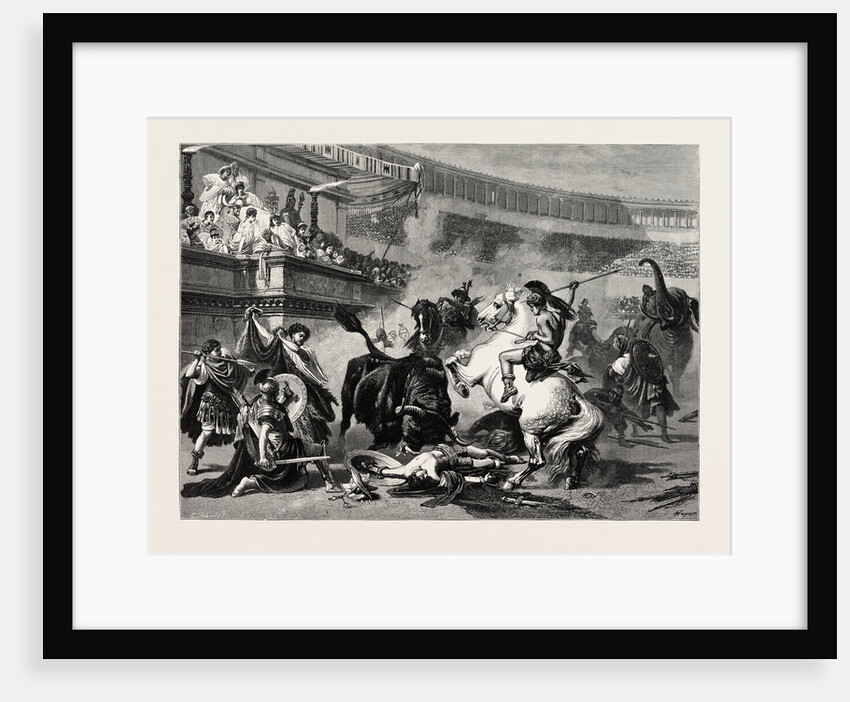 A Bull Fight by Anonymous