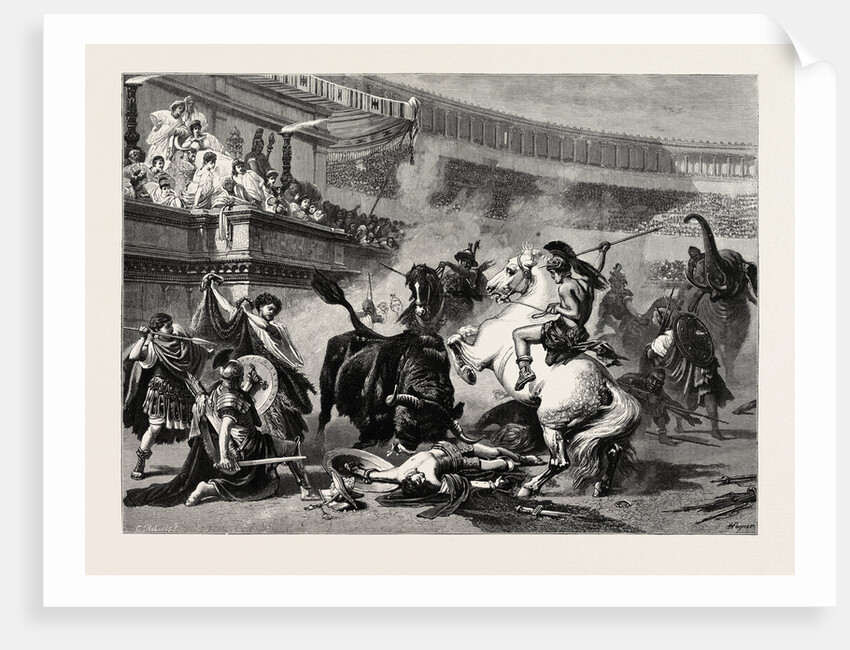 A Bull Fight by Anonymous