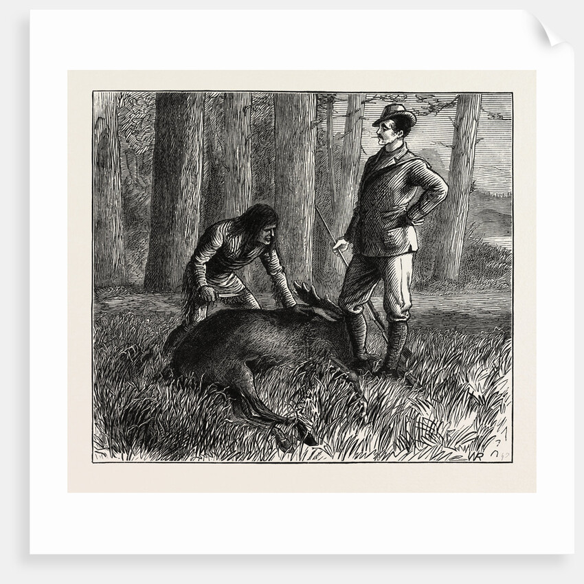 The Dead Moose by Anonymous