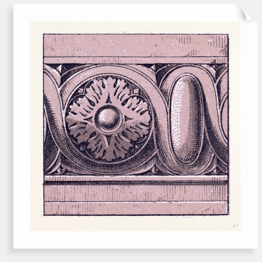 Renaissance Ornament by Anonymous