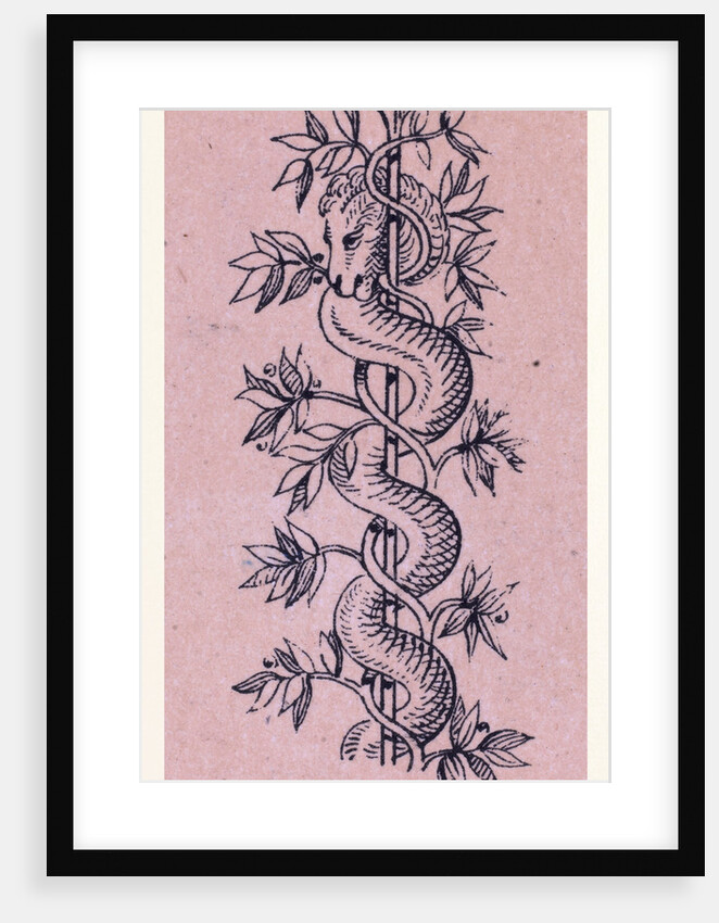Italian Ornament by Anonymous
