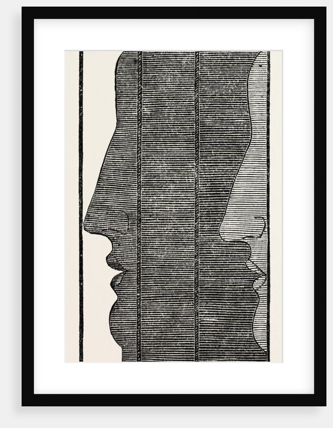 Section, Showing The Impression of the Features in A Physiognotype by Anonymous