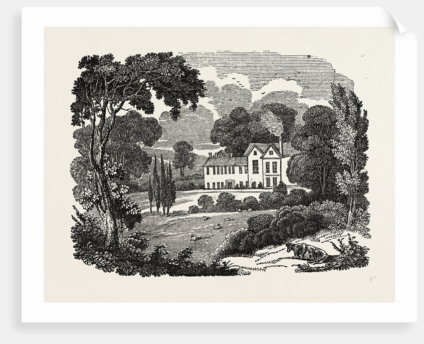 Bilton House by Anonymous