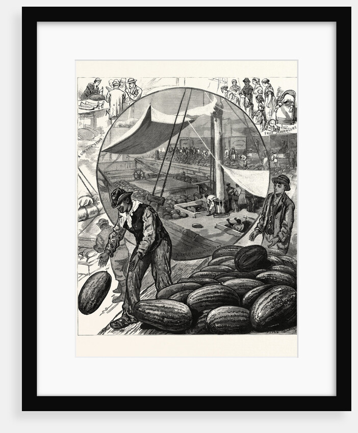 New York: Incidents of the Watermelon Trade in the Metropolis by Anonymous