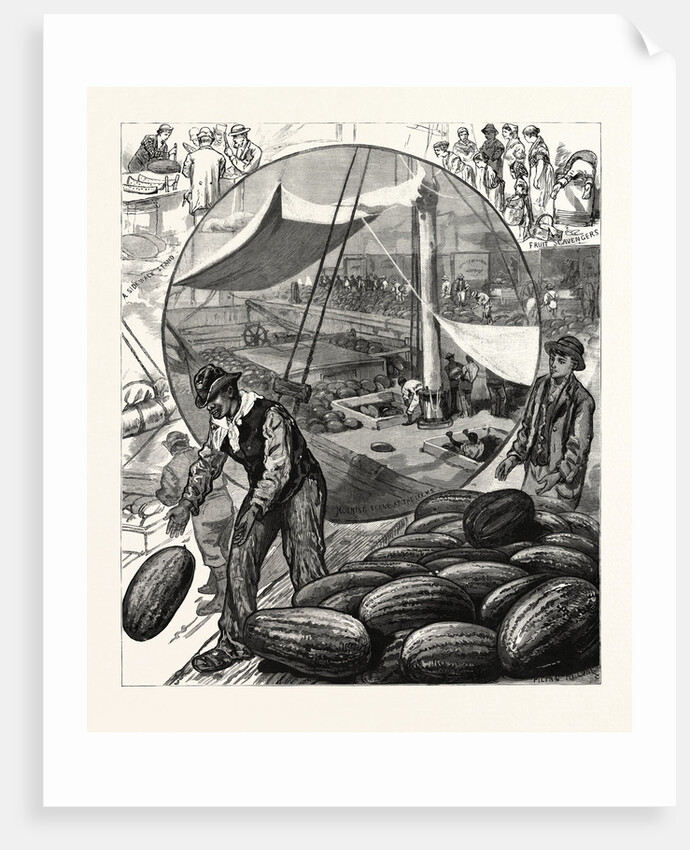New York: Incidents of the Watermelon Trade in the Metropolis by Anonymous