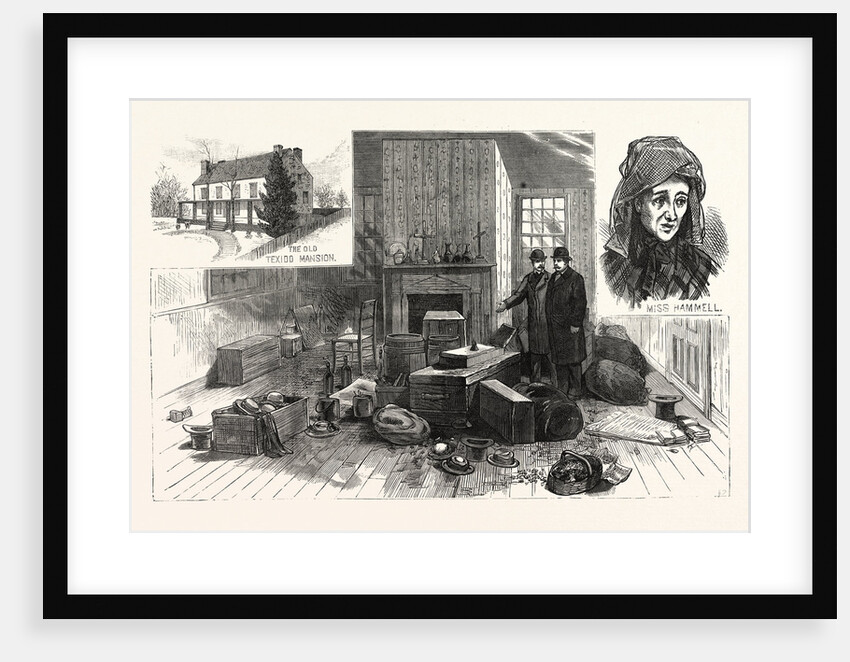 The Singular Story of Mary Hammell and Her Alleged Persecutor: Mrs. Allen's Remarkable Collections in the Texido Mansion, Flushing by Anonymous