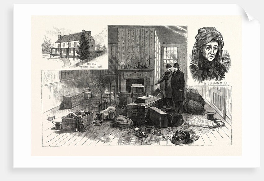 The Singular Story of Mary Hammell and Her Alleged Persecutor: Mrs. Allen's Remarkable Collections in the Texido Mansion, Flushing by Anonymous