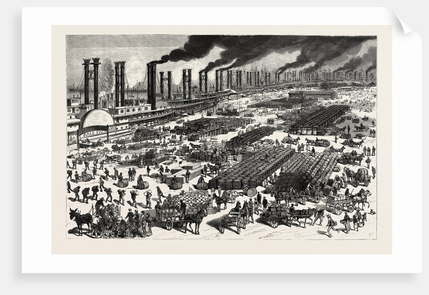 Louisiana: The Business Boom in the South, a Scene on the Levee at New Orleans by Anonymous