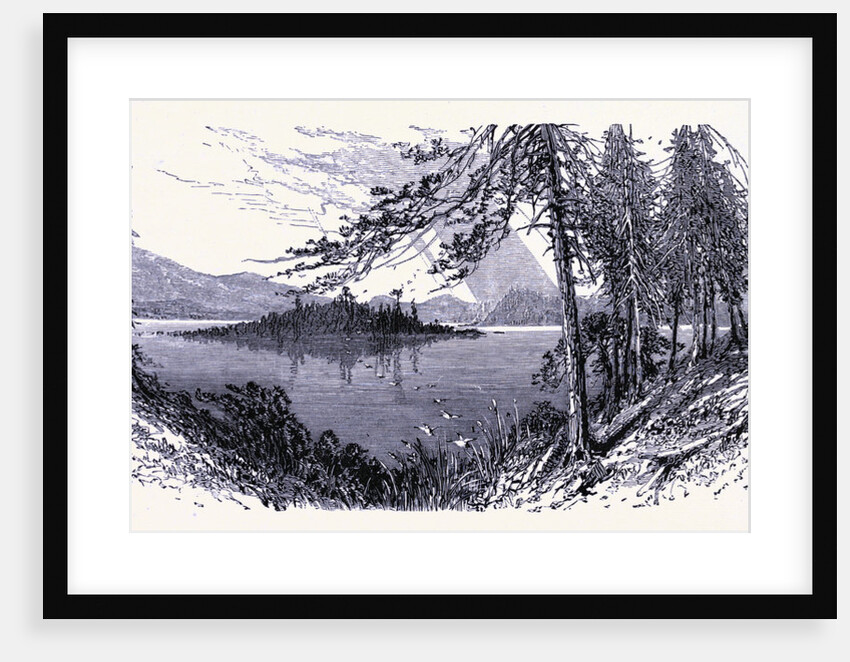 Long Lake by Anonymous