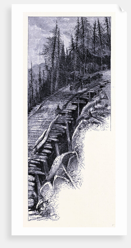 A Path on Mount Mansfield by Anonymous