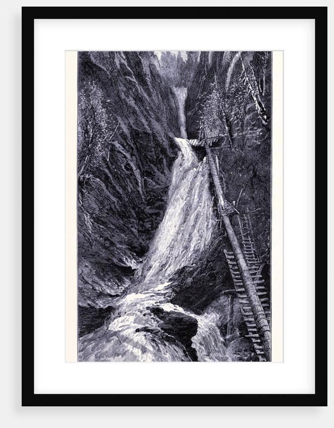 The Moss-Glen-Cascade by Anonymous