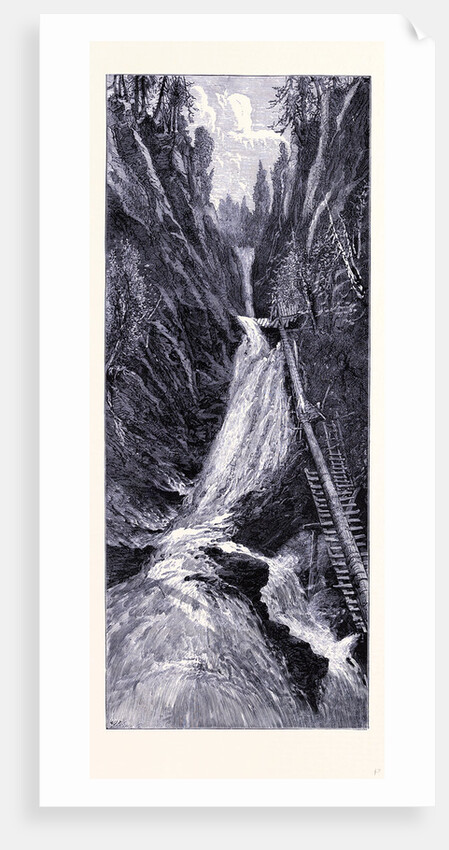 The Moss-Glen-Cascade by Anonymous