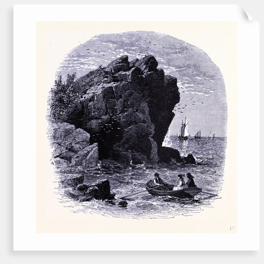 The Swallow Cave by Anonymous