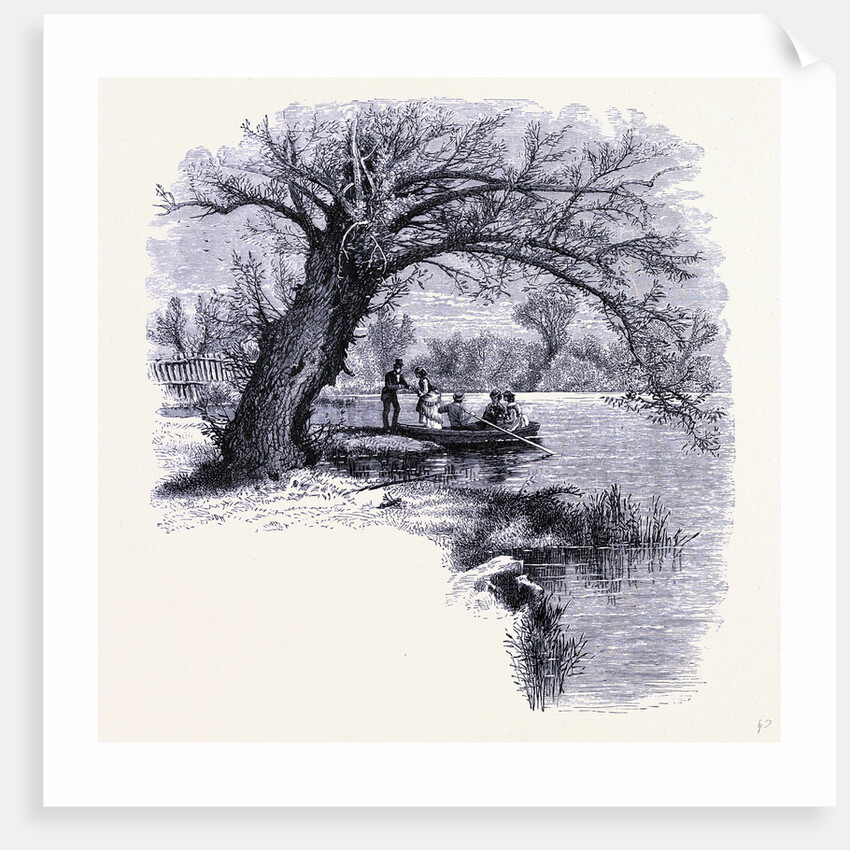 Boston Common Boston by Anonymous