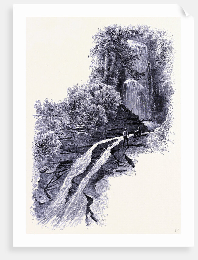 Silver Waterfall Sage's Ravine by Anonymous