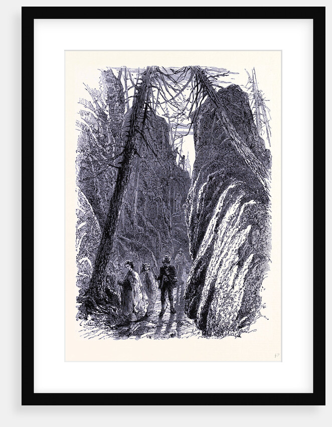 Pudding Stone Hall by Anonymous
