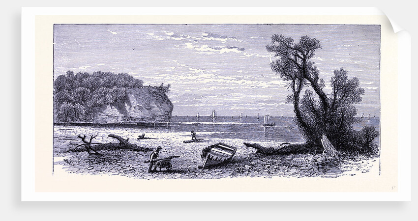 The River Mouth of the Rocky River by Anonymous