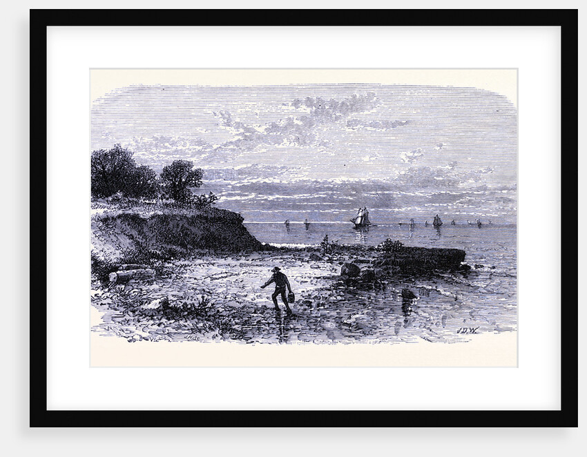 Kelley's Island by Anonymous