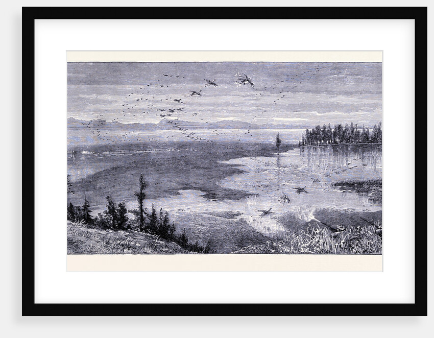 Yellowstone Lake by Anonymous