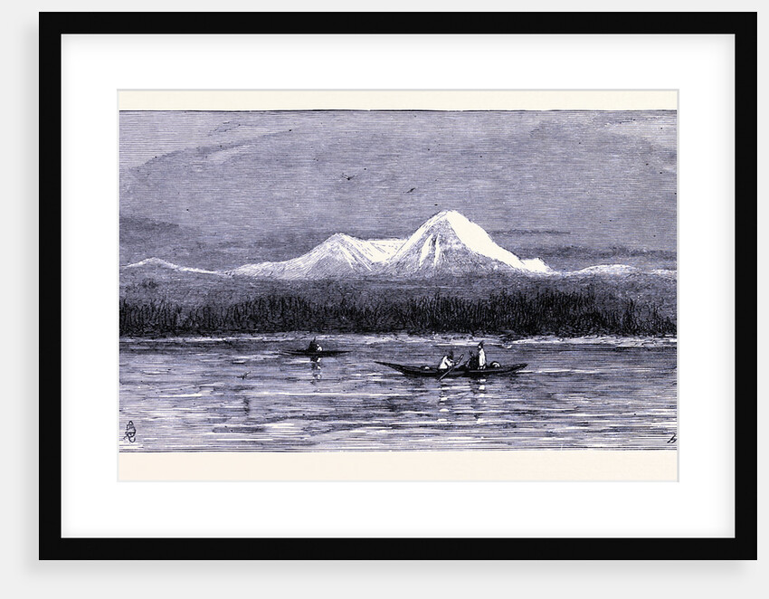 Mount Rainier by Anonymous